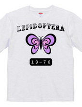 Lepidoptera (Light Color)