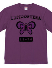 Lepidoptera (Light Color)