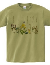 野の花Tシャツ