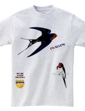 Swallows 0539