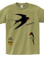 Swallows 0539