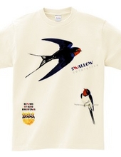 Swallows 0539