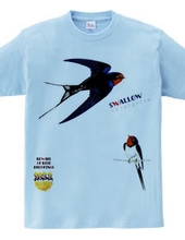 Swallows 0539