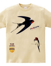 Swallows 0539