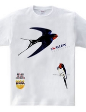 Swallows 0539