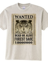 OWL -Forest Sage-