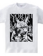 NORTH LYNX