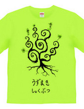 Uzumaki plant #001