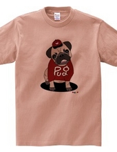 Dogs Series Pug F