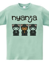 Ninja Cat "Nyanja"