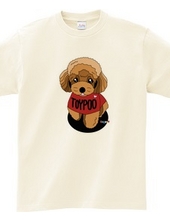 Dogs Series Toy Poodle