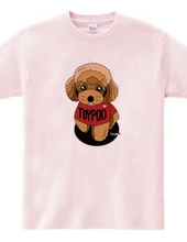 Dogs Series Toy Poodle