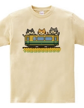 3CATS (Train 2)