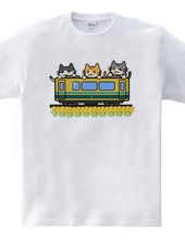 3CATS (Train 2)