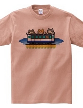 3CATS (Train 3)