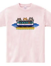 3CATS (Train 3)