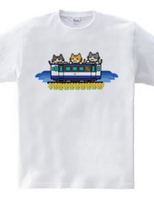 3CATS (Train 3)