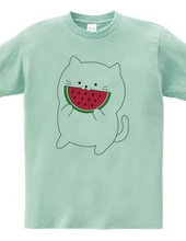 Watermelon Cat