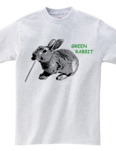 Green Rabbit