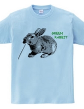 Green Rabbit