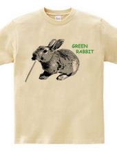 Green Rabbit