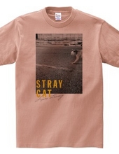 STRAY CAT Live Strong