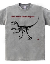 velociraptor