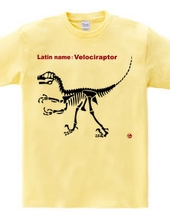 velociraptor