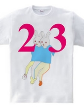 23