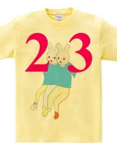 23