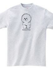 Bichon Frise