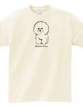 Bichon Frise