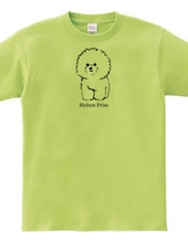 Bichon Frise