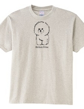 Bichon Frise