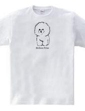 Bichon Frise