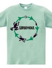 lifecycle(カエル）