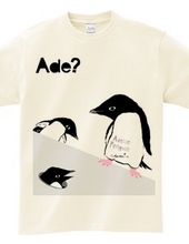 Adelie Penguin mad pop 0565