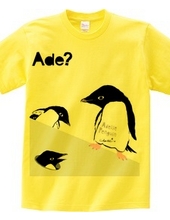 Adelie Penguin mad pop 0565