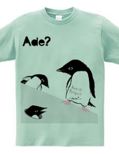 Adelie Penguin mad pop 0565