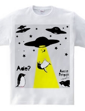 UFOと人鳥 0567 アデリーペンギンの謎