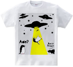 UFOと人鳥 0567 アデリーペンギンの謎