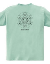 sacred geometry-004