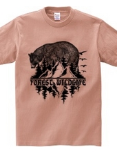 Forest Wildlife - Bear 