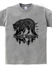 Forest Wildlife - Bear 