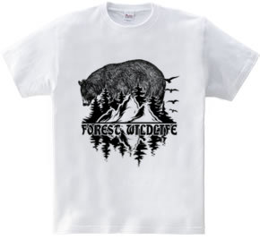 Forest Wildlife - Bear 