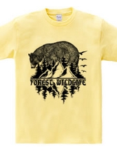 Forest Wildlife - Bear 