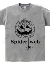 Spider web