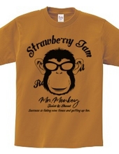 MR.MONKEY