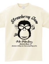 MR. MONKEY