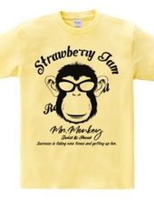 MR. MONKEY